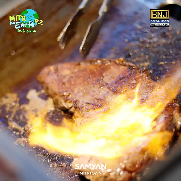 mitr the earth -4